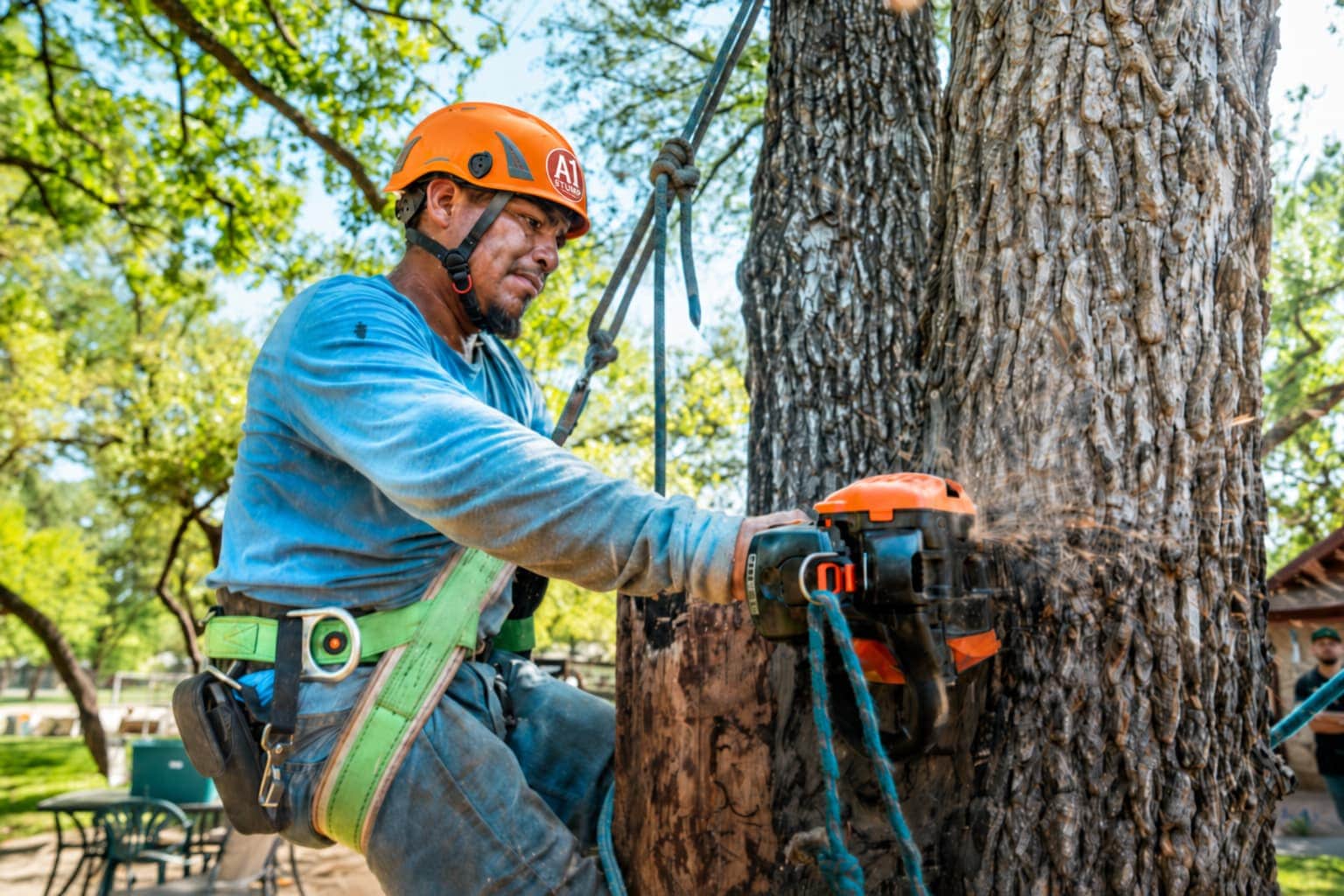 Removal crews