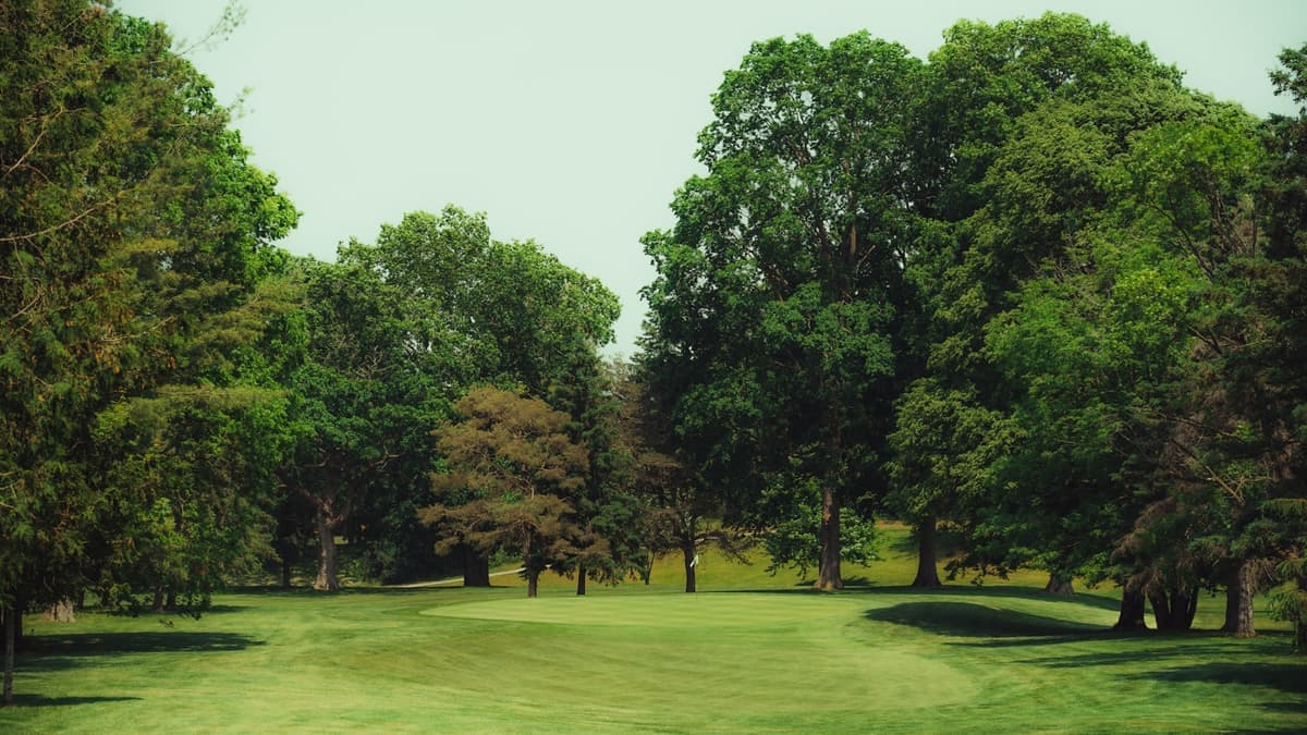 Golf course fairway framed by healthy trees