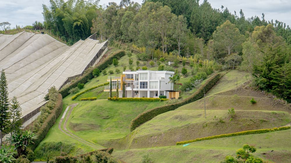 Hillside home with maintained hedges and trees