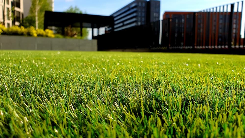 Manicured residential landscaping