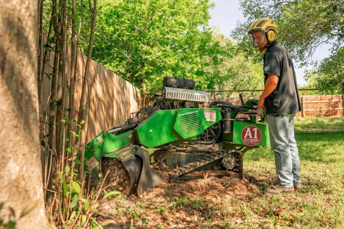 Stump grinding