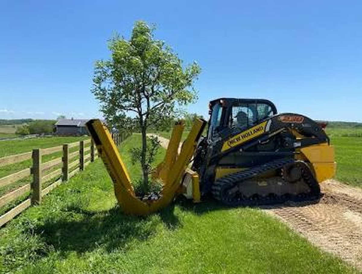 Tree spade relocating a tree with a track loader