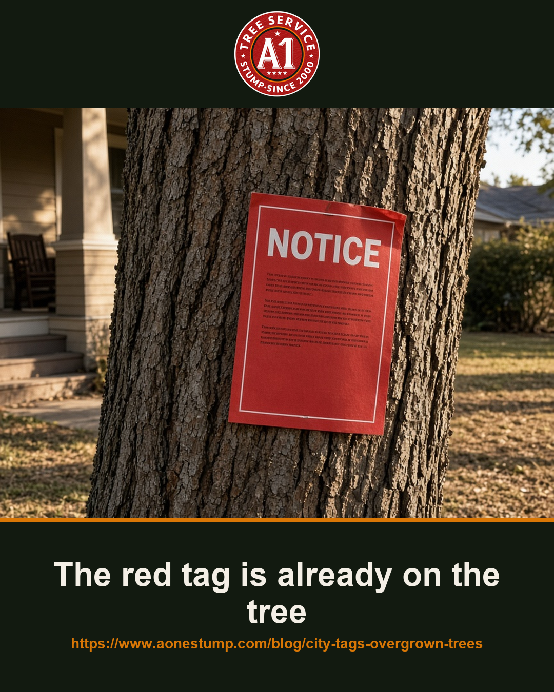 The red tag is already on the tree