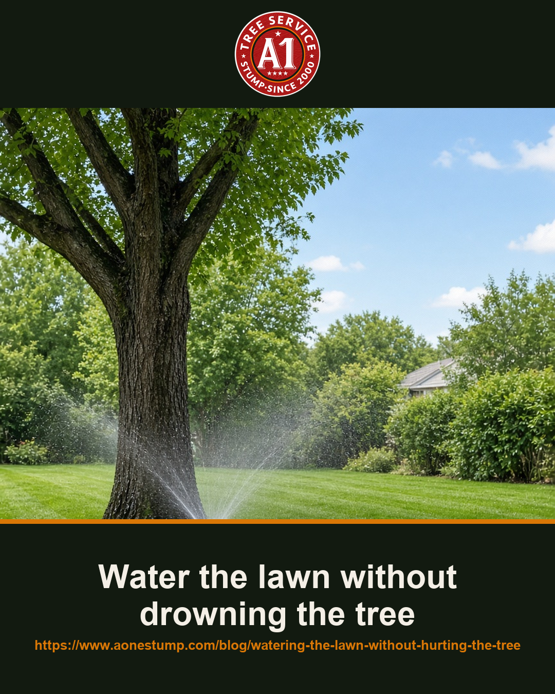 Water the lawn without drowning the tree