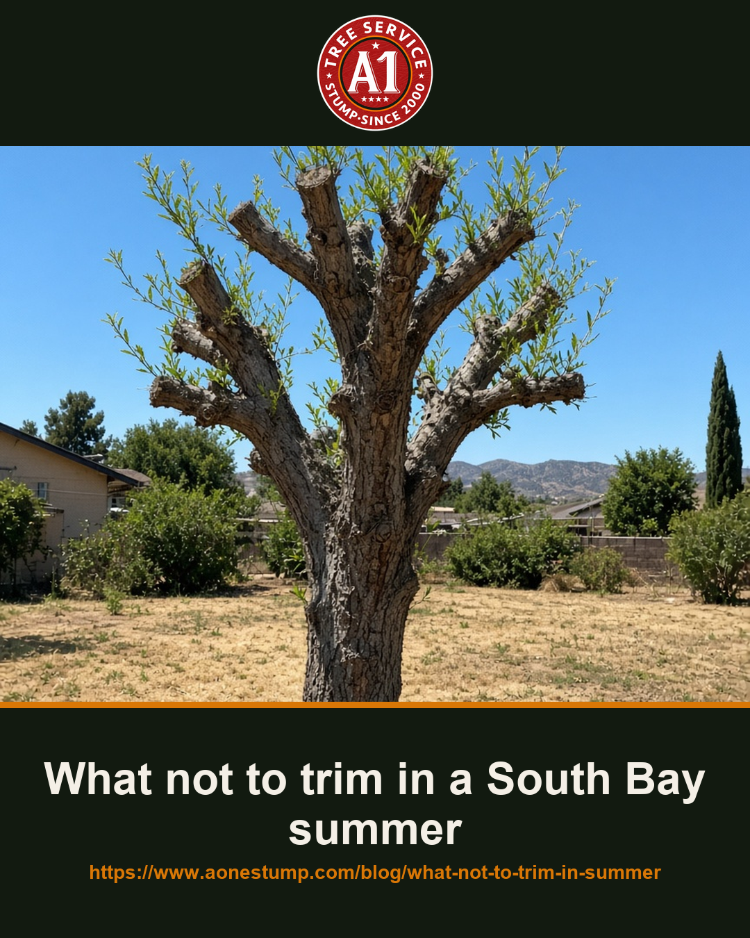 What not to trim in a South Bay summer