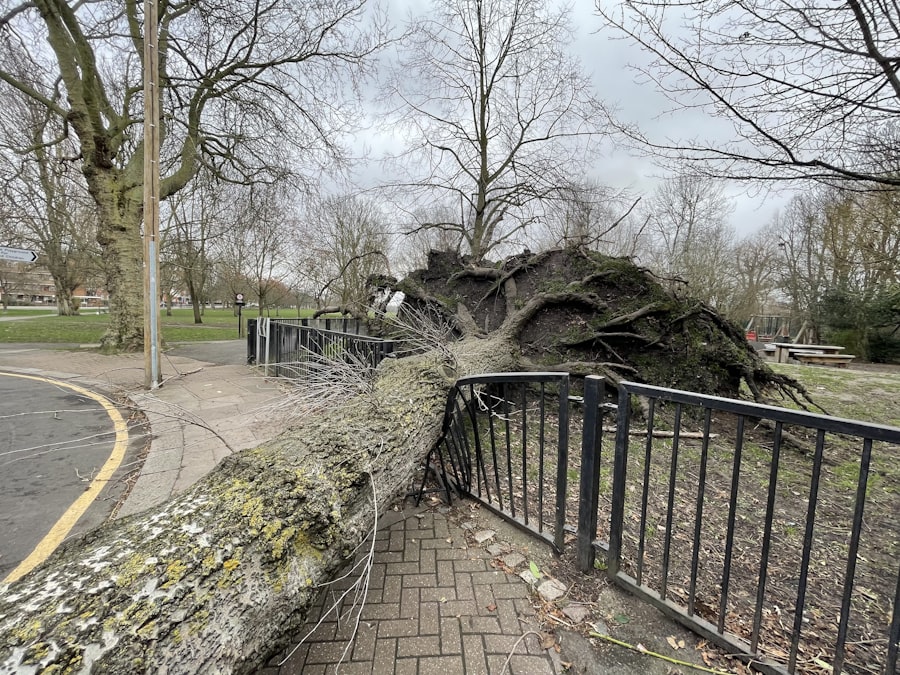 Emergency tree hazard